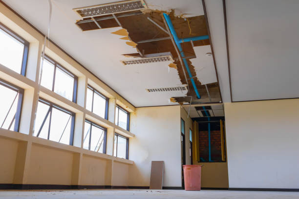 Best Basement water damage restoration  in Central City, KY