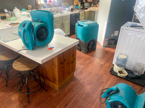 Best Ceiling water damage repair  in Central City, KY