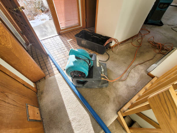 Best Basement water damage restoration  in Central City, KY