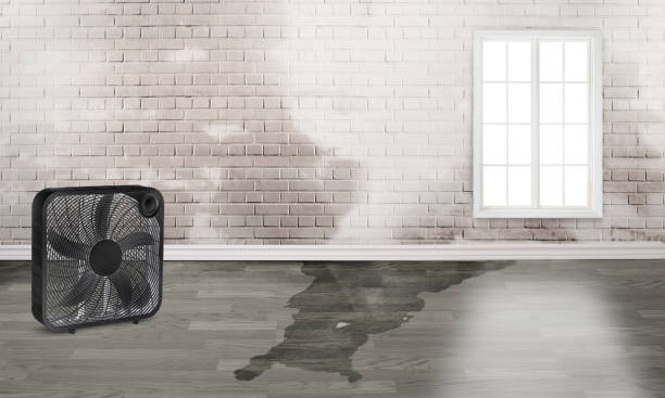  Central City, KY Water damage restoration Pros