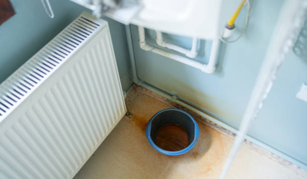 Best Water damage contractors near me  in Central City, KY
