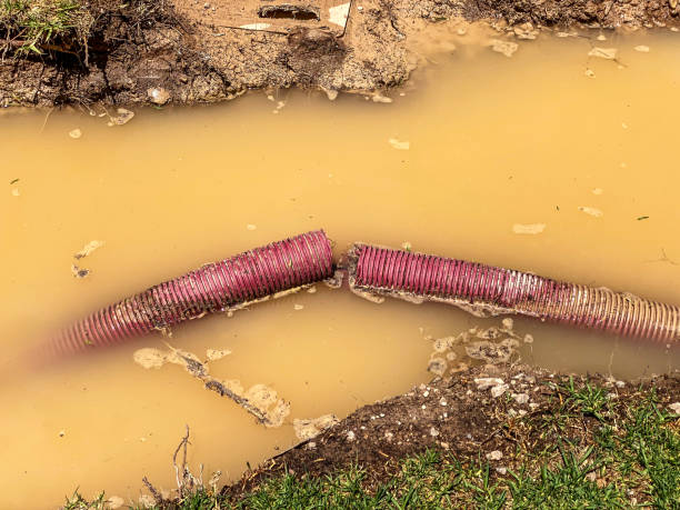 Best 24/7 water damage repair  in Central City, KY